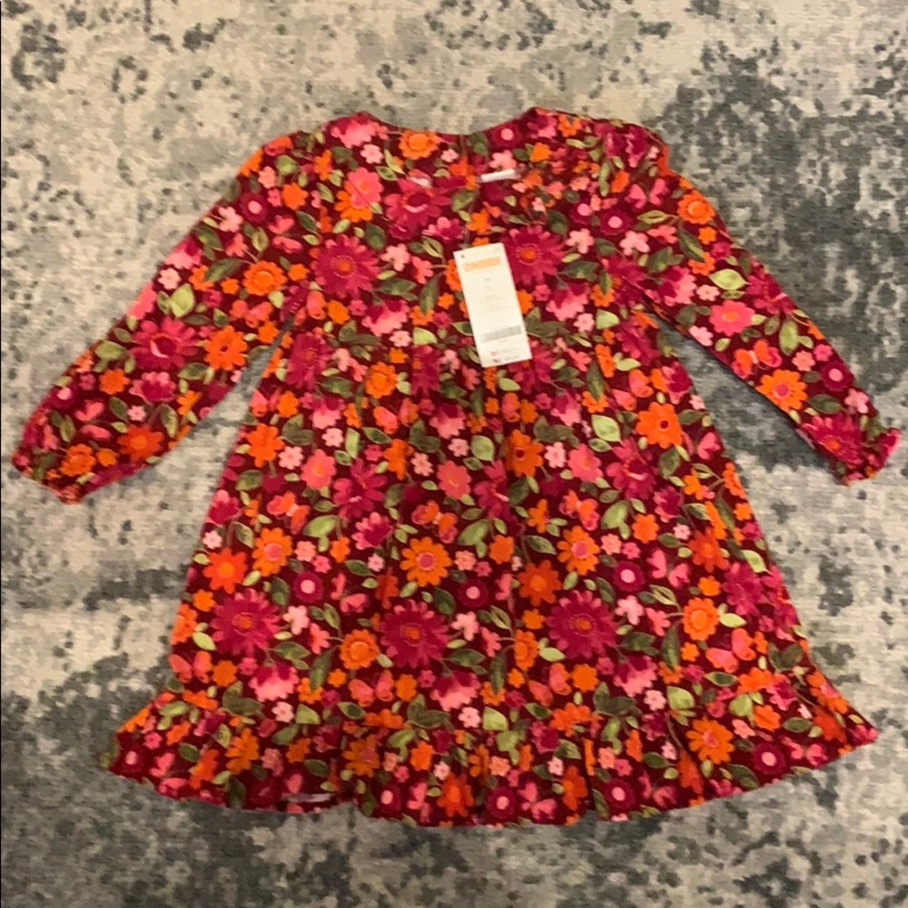 Gymboree 3T Fall Corduroy Floral Dress